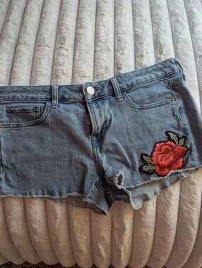 Express Low Rise Shorts